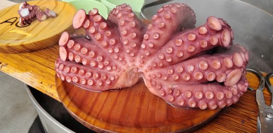 🐙Ourense: un agosto lleno de sabores en nuestra provincia